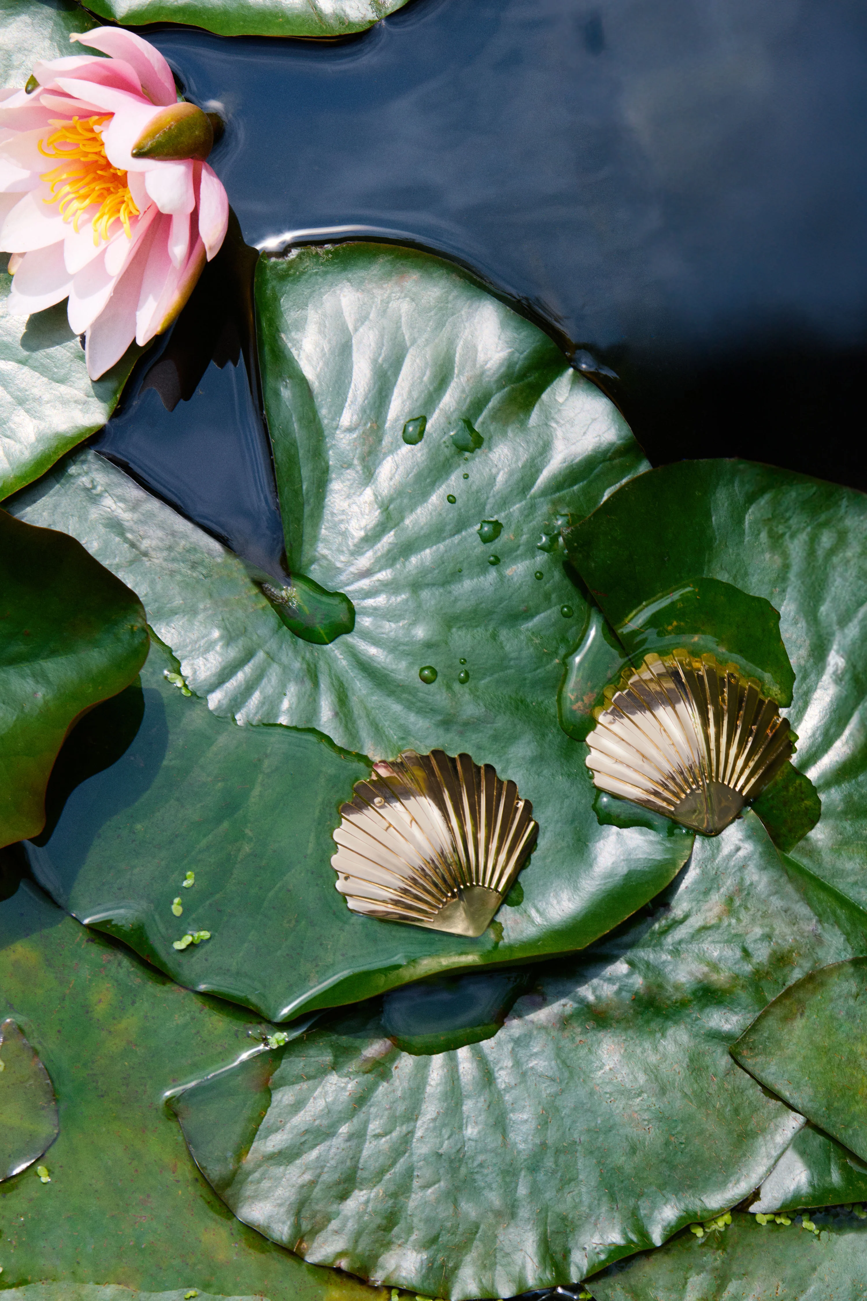 Shell Gold Nipplets - Image 6