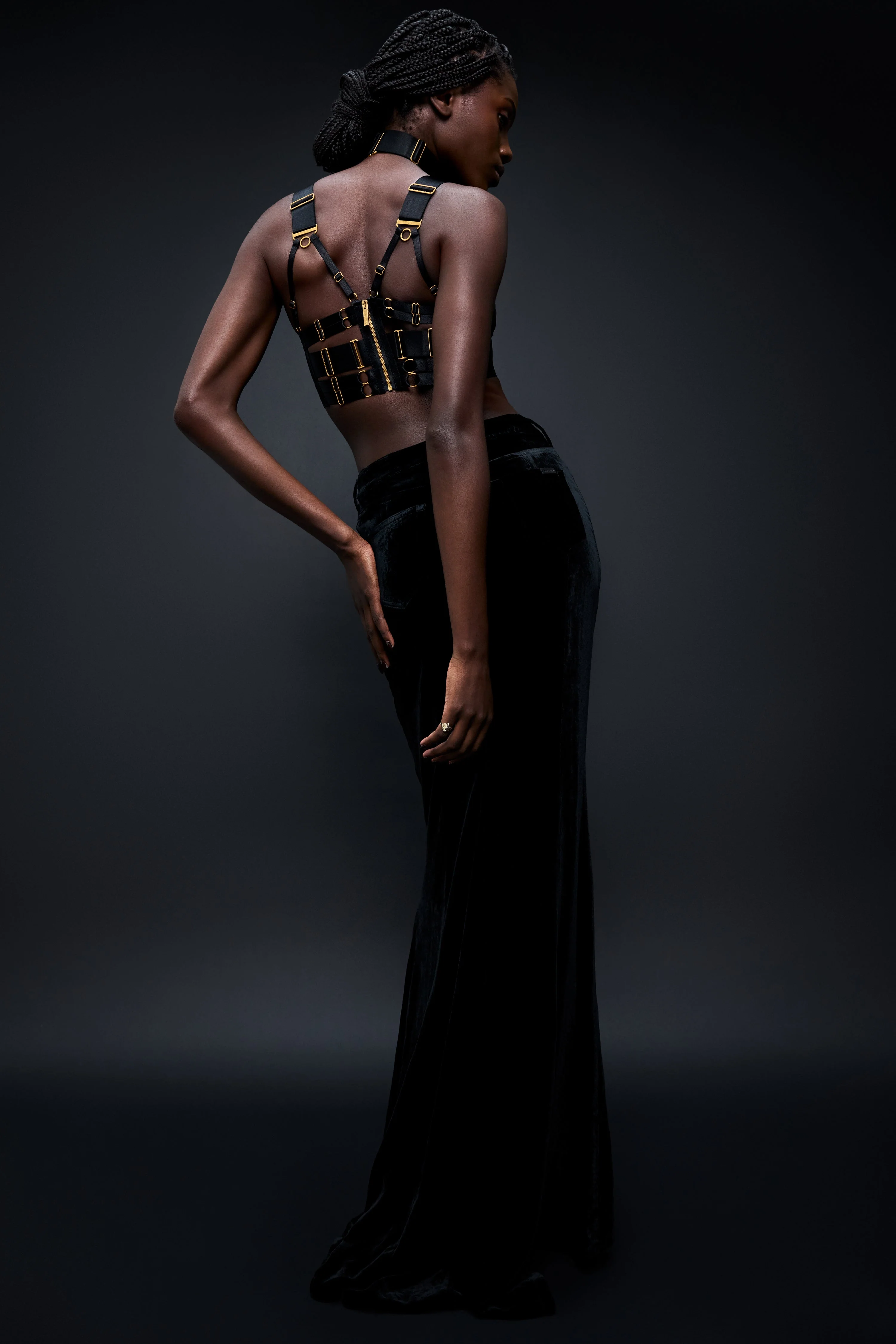 Signature Panelled Bodice Bra - Image 9