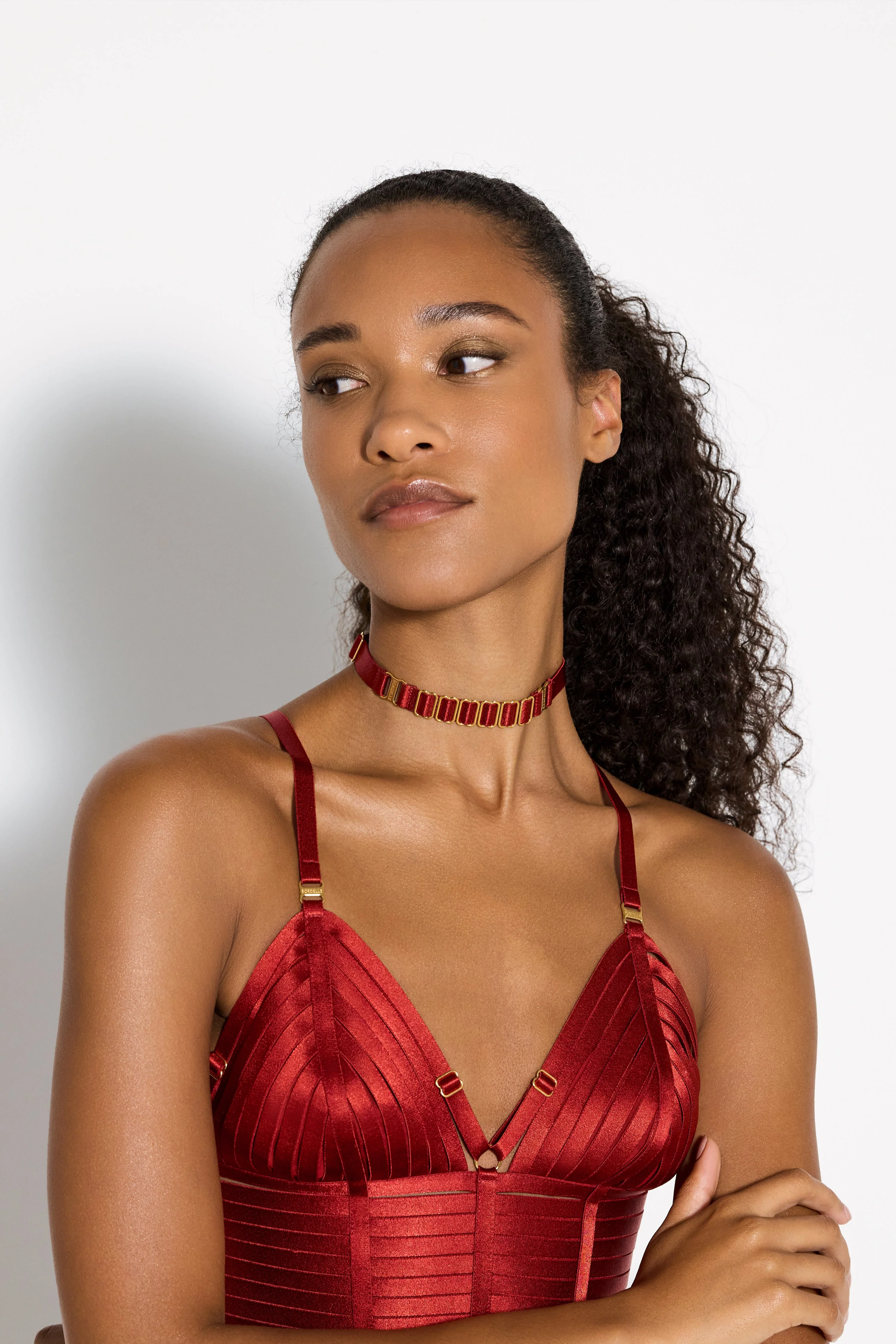 Signature Strap Collar - Image 6