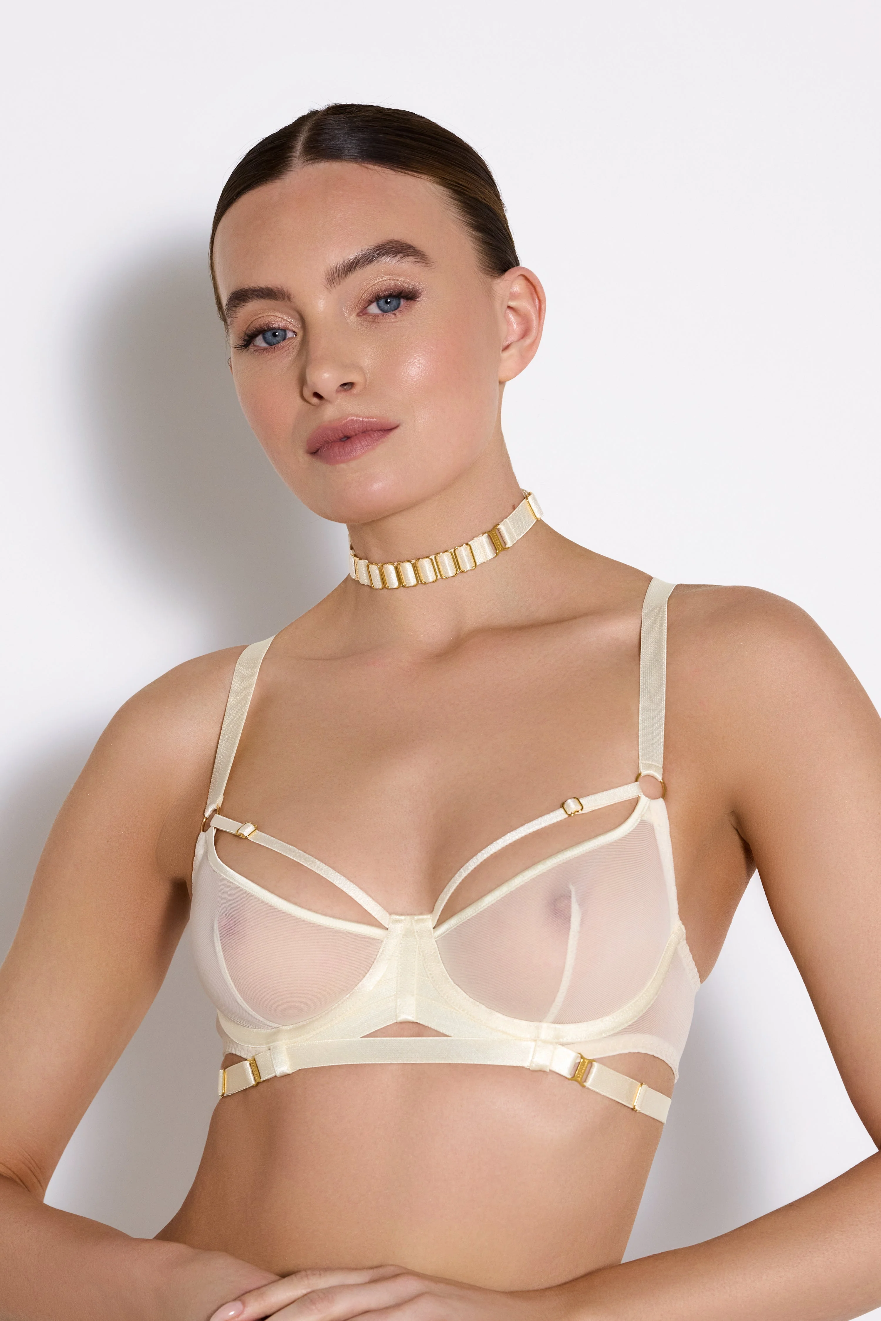 Signature Strap Collar - Image 2